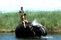 Chitwan