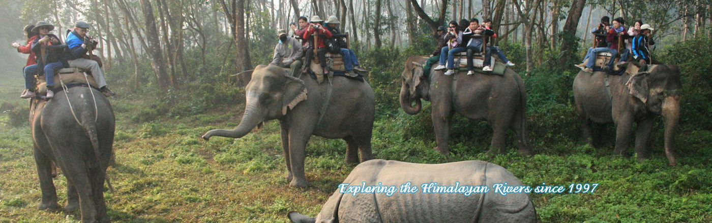 Jungle Safari in Nepal